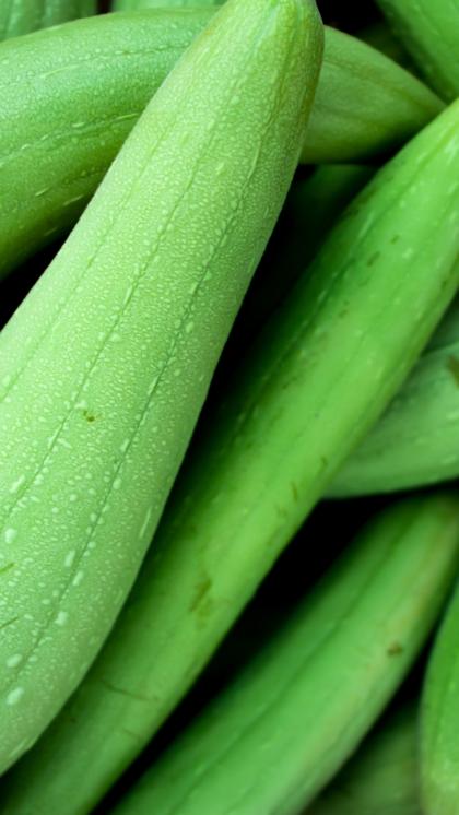 Fresh Ridge Gourd (Premium Farm Fresh Ridge Gourd)