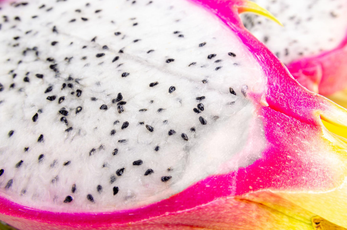 Fresh Dragon Fruit (Premium Farm Fresh Dragon Fruit)