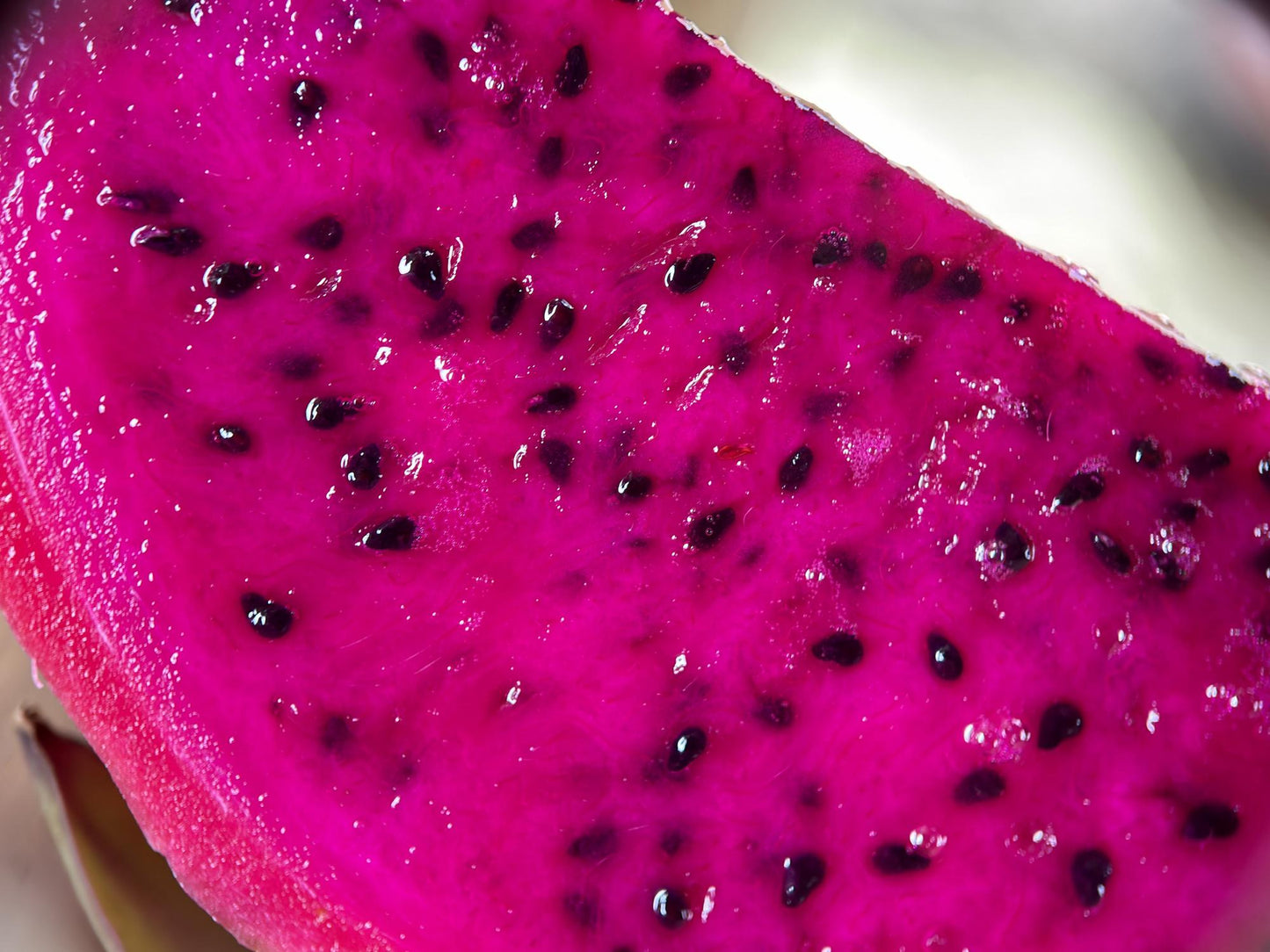 Fresh Dragon Fruit (Premium Farm Fresh Dragon Fruit)