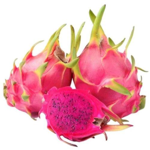 Fresh Dragon Fruit (Premium Farm Fresh Dragon Fruit)