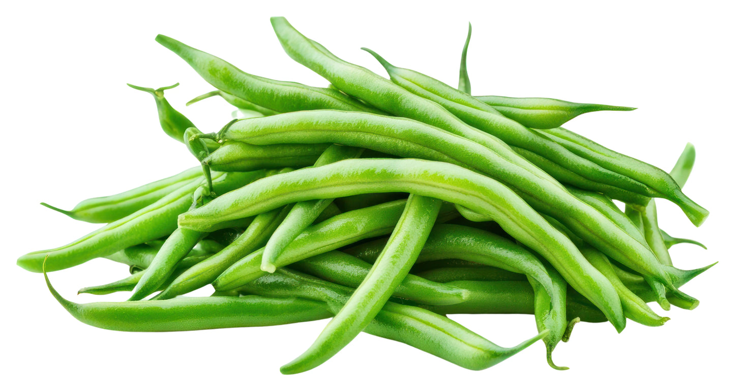 Fresh Green Beans (Premium Farm Fresh String Beans)