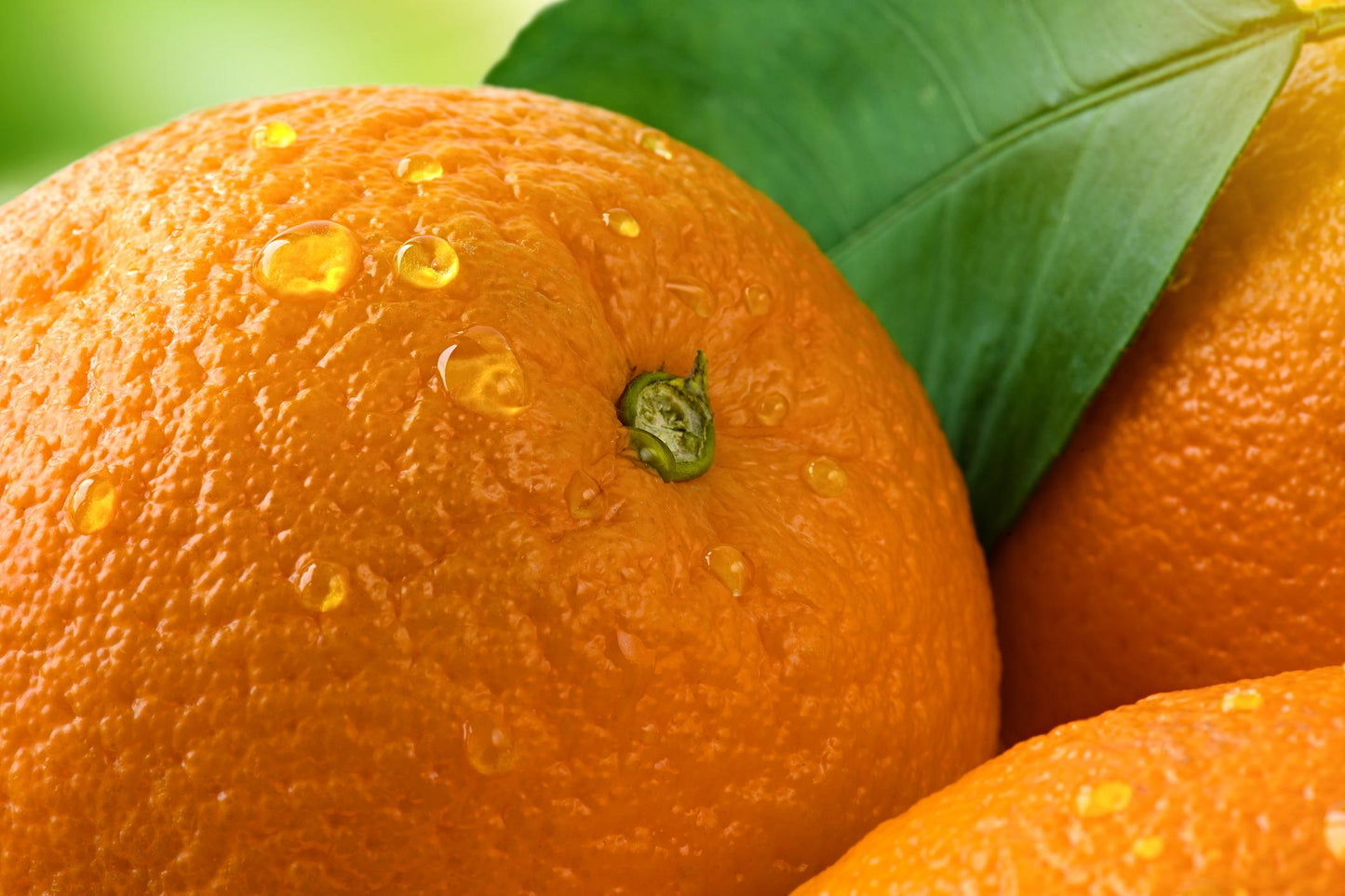 Fresh Orange (Premium Farm Fresh Oranges)