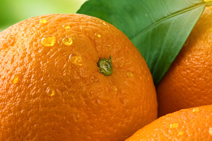 Fresh Orange (Premium Farm Fresh Oranges)