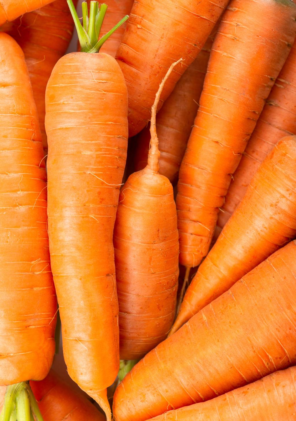 Fresh Carrot – Nutritious &amp; Naturally Sweet Root Vegetable
