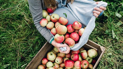 Fresh Apple (Premium Farm Fresh Red Apples)