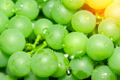Fresh Green Grapes (Premium Farm Fresh Grapes)