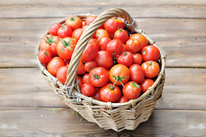 🍅 Premium Fresh Farm Tomatoes | Naturally Grown, Juicy & Rich in Flavor