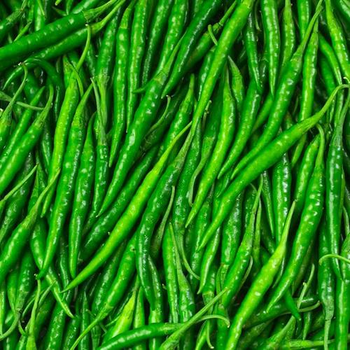 Premium Fresh Green Chilli | Farm Fresh, Spicy & Flavorful