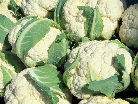 Fresh Cauliflower (Premium Farm Fresh Cauliflower)