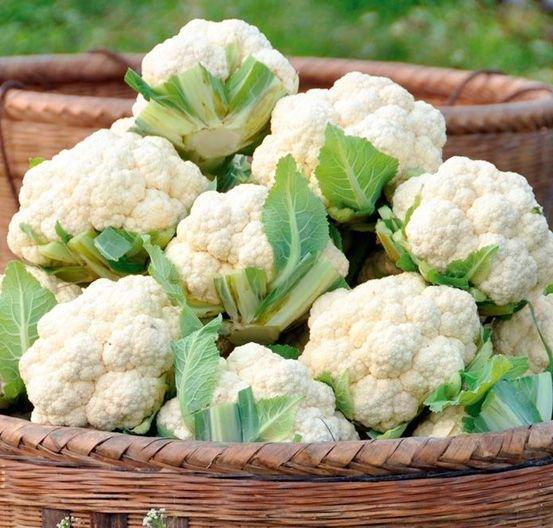 Fresh Cauliflower (Premium Farm Fresh Cauliflower)
