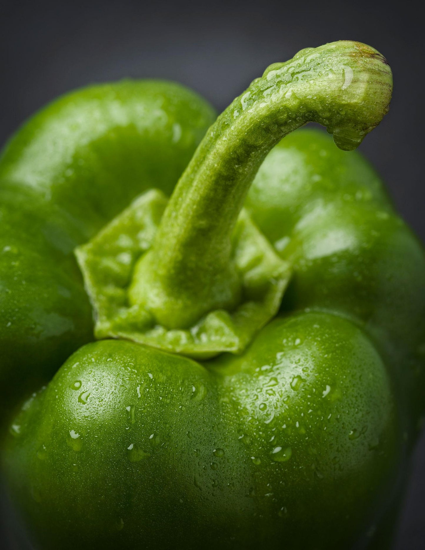 Fresh Capsicum (Premium Farm Fresh Green Bell Pepper)