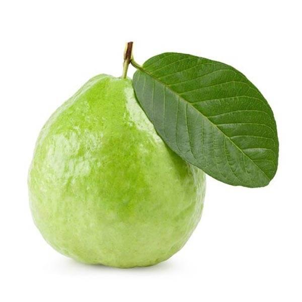 Fresh Guava (Premium Farm Fresh Guava)