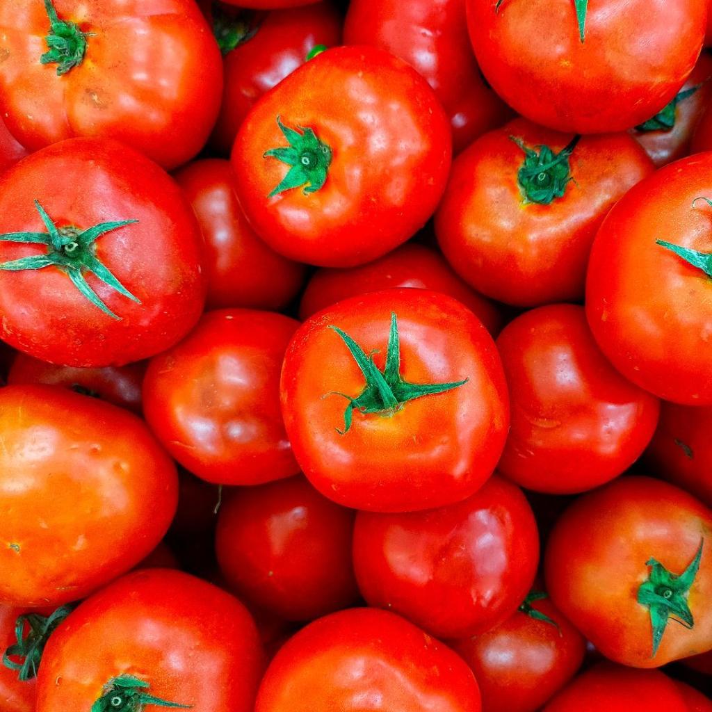 🍅 Premium Fresh Farm Tomatoes | Naturally Grown, Juicy & Rich in Flavor